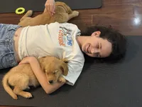 Maple, a female Golden Retriever and English Cream Golden Retriever for sale in Hampden, MA – 2 of 5