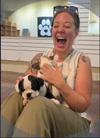 Pumba, a female French Bulldog for sale in Hampden, MA – 3 of 9