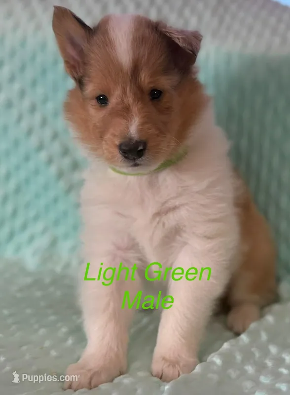 Light Green