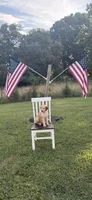 Ezra, a male English Goldendoodle for sale in Moneta, VA – 2 of 3