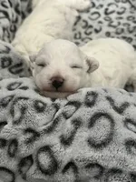 processed/8800bde6-c967-474d-8ad8-a82b6326d0f4/facility/73999120-7f64-4bd6-b36d-07e96926958e