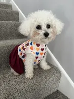 processed/8800bde6-c967-474d-8ad8-a82b6326d0f4/listing/74804b3d-3463-499e-ab3d-0370d169ba4f/22850f7b-3bd2-432e-a70c-38fc58f1dc5c