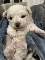 processed/8800bde6-c967-474d-8ad8-a82b6326d0f4/listing/74804b3d-3463-499e-ab3d-0370d169ba4f/4205d700-aea9-4aee-80fc-61896fa0ace8