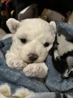 processed/8800bde6-c967-474d-8ad8-a82b6326d0f4/listing/74804b3d-3463-499e-ab3d-0370d169ba4f/bb1c434a-bb49-41c9-abd3-6ba38d548b2d