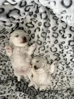 processed/8800bde6-c967-474d-8ad8-a82b6326d0f4/listing/74804b3d-3463-499e-ab3d-0370d169ba4f/f0f3b550-2a9b-44d5-bca9-be702e376c1e