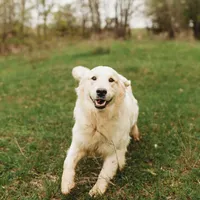 processed/88035750-58b7-49ae-ac5c-10f997312b6e/facility/08ab3e34-aff6-4d60-ab45-4b94fcb56355