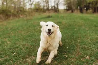 processed/88035750-58b7-49ae-ac5c-10f997312b6e/facility/08ab3e34-aff6-4d60-ab45-4b94fcb56355