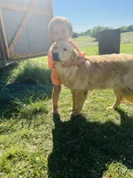 processed/88035750-58b7-49ae-ac5c-10f997312b6e/facility/1c928bfe-55de-4322-8973-fe1c96ec577d