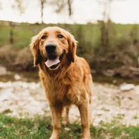 processed/88035750-58b7-49ae-ac5c-10f997312b6e/facility/25ea8cd6-781c-4f7a-bd6d-1c59524d996c