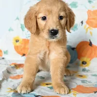 processed/88035750-58b7-49ae-ac5c-10f997312b6e/facility/26047b04-2c71-4e44-8705-23ebdff087f5