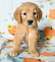 processed/88035750-58b7-49ae-ac5c-10f997312b6e/facility/26047b04-2c71-4e44-8705-23ebdff087f5