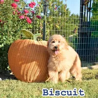 processed/88035750-58b7-49ae-ac5c-10f997312b6e/facility/809e5b07-4f8f-4539-91c0-7e066e79d53d