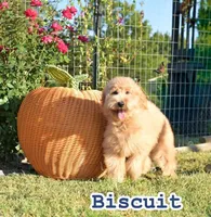 processed/88035750-58b7-49ae-ac5c-10f997312b6e/facility/809e5b07-4f8f-4539-91c0-7e066e79d53d