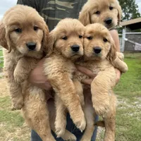 processed/88035750-58b7-49ae-ac5c-10f997312b6e/facility/bf654f7f-31bf-4007-9a11-ccae0bdcd0f6