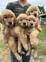 processed/88035750-58b7-49ae-ac5c-10f997312b6e/facility/bf654f7f-31bf-4007-9a11-ccae0bdcd0f6