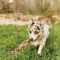 processed/88035750-58b7-49ae-ac5c-10f997312b6e/facility/c8f4f931-c46e-419d-810a-1330bf8dcb34