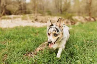 processed/88035750-58b7-49ae-ac5c-10f997312b6e/facility/c8f4f931-c46e-419d-810a-1330bf8dcb34