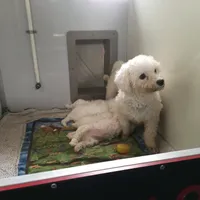 processed/8804a11f-e014-48af-bf56-3c857b4c4001/facility/0f6d1949-6a8e-454d-bdc1-3c4c23fd0f46