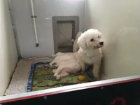 processed/8804a11f-e014-48af-bf56-3c857b4c4001/facility/0f6d1949-6a8e-454d-bdc1-3c4c23fd0f46