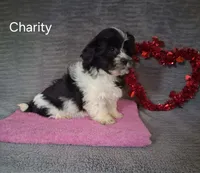 processed/8804a11f-e014-48af-bf56-3c857b4c4001/listing/a1246326-5b35-40c1-b183-30c84c6a61e2/0df04aba-3229-4025-b63d-37ddcc7a6af9