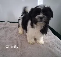 processed/8804a11f-e014-48af-bf56-3c857b4c4001/listing/a1246326-5b35-40c1-b183-30c84c6a61e2/12a83679-21ba-4f46-a7f2-1cbf2a3f3516