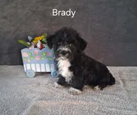 processed/8804a11f-e014-48af-bf56-3c857b4c4001/listing/e8c8c3b8-103d-4a6a-a38c-994cf889bd7d/2687d82e-0e05-4dfc-899e-78d37d79e7ff