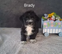 processed/8804a11f-e014-48af-bf56-3c857b4c4001/listing/e8c8c3b8-103d-4a6a-a38c-994cf889bd7d/e7088e2f-2faa-4104-b2e0-21fc0a3239bf