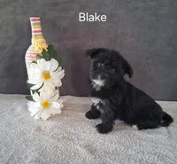 processed/8804a11f-e014-48af-bf56-3c857b4c4001/listing/ec4521c2-e83f-4a6b-a53d-9ddca6081f2c/9639e62a-1952-4082-b126-094233532a81