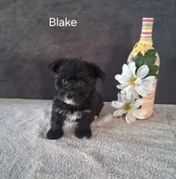 processed/8804a11f-e014-48af-bf56-3c857b4c4001/listing/ec4521c2-e83f-4a6b-a53d-9ddca6081f2c/b072ba73-57a9-4a6f-aa78-7b1d4a2dbb2a