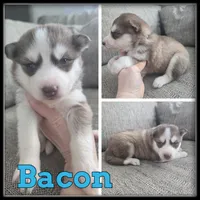 processed/880bad42-3891-4fb8-a1aa-f4a90f477ae5/listing/0e73a915-b221-4510-99e1-43d61f7402bd/7102ccb3-8608-4d06-a8ca-7cd9cde3f9d9