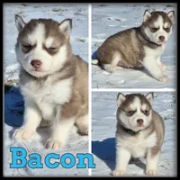 processed/880bad42-3891-4fb8-a1aa-f4a90f477ae5/listing/0e73a915-b221-4510-99e1-43d61f7402bd/e99e084e-b6f7-4a38-a109-9e8d2041cf2f