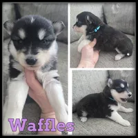 processed/880bad42-3891-4fb8-a1aa-f4a90f477ae5/listing/27dd4ab0-d06b-4fd3-bc74-a8953c8d5810/2b9f3291-682b-456b-b708-2e8a37dac211