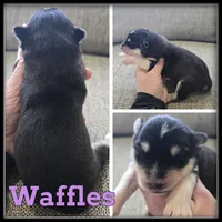 processed/880bad42-3891-4fb8-a1aa-f4a90f477ae5/listing/27dd4ab0-d06b-4fd3-bc74-a8953c8d5810/473fc3e1-a222-48ab-9167-e8c5220a6a6c