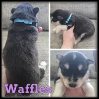 processed/880bad42-3891-4fb8-a1aa-f4a90f477ae5/listing/27dd4ab0-d06b-4fd3-bc74-a8953c8d5810/61395309-930a-46d9-aee8-bc226b45faf5