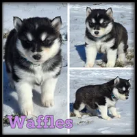 processed/880bad42-3891-4fb8-a1aa-f4a90f477ae5/listing/27dd4ab0-d06b-4fd3-bc74-a8953c8d5810/a5434314-16c4-4508-9854-85d4476ed42d