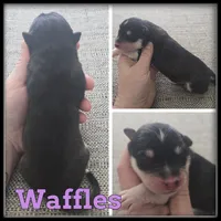 processed/880bad42-3891-4fb8-a1aa-f4a90f477ae5/listing/27dd4ab0-d06b-4fd3-bc74-a8953c8d5810/e33c278a-a979-4877-9c62-e90f1a7b15ed