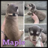 processed/880bad42-3891-4fb8-a1aa-f4a90f477ae5/listing/41baf4e1-c0ce-4322-b354-77617914afe2/3c8f6edf-1e0c-4edd-b0c0-df67a831a597