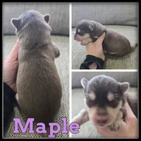 processed/880bad42-3891-4fb8-a1aa-f4a90f477ae5/listing/41baf4e1-c0ce-4322-b354-77617914afe2/b6201df1-de2f-4251-98e3-a2f7435f07cf