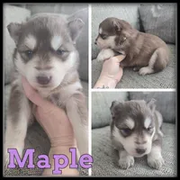 processed/880bad42-3891-4fb8-a1aa-f4a90f477ae5/listing/41baf4e1-c0ce-4322-b354-77617914afe2/e1614f23-ef21-490b-920c-0c378f3e1c01