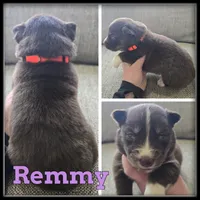 processed/880bad42-3891-4fb8-a1aa-f4a90f477ae5/listing/68b236a7-d5f3-46b3-be6b-c3427e37e444/4960aff1-da76-4b56-bc28-bfba96bfb4a3