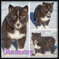 processed/880bad42-3891-4fb8-a1aa-f4a90f477ae5/listing/68b236a7-d5f3-46b3-be6b-c3427e37e444/787551b5-8313-443b-836e-20c60f64c4bf