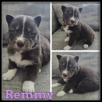 processed/880bad42-3891-4fb8-a1aa-f4a90f477ae5/listing/68b236a7-d5f3-46b3-be6b-c3427e37e444/9b8d6cc3-6ee6-4643-b65a-763379f8d84c