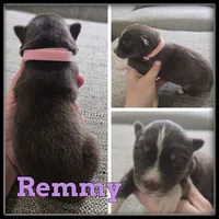 processed/880bad42-3891-4fb8-a1aa-f4a90f477ae5/listing/68b236a7-d5f3-46b3-be6b-c3427e37e444/b0c3b42a-a937-4cc8-b53c-f1f11b8a26a9