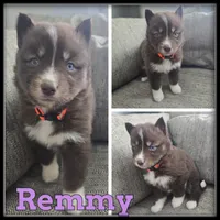 processed/880bad42-3891-4fb8-a1aa-f4a90f477ae5/listing/68b236a7-d5f3-46b3-be6b-c3427e37e444/eccef14c-7aa0-4184-8c0a-9d5c8f94a6e5