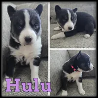 processed/880bad42-3891-4fb8-a1aa-f4a90f477ae5/listing/97a3d0f8-0388-4d18-83b8-254ea737eee8/433170a9-7513-4c53-9ae1-246d43955efc