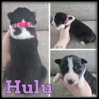 processed/880bad42-3891-4fb8-a1aa-f4a90f477ae5/listing/97a3d0f8-0388-4d18-83b8-254ea737eee8/812789bc-a4b2-48d1-950c-064762983a8f