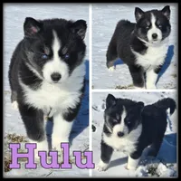 processed/880bad42-3891-4fb8-a1aa-f4a90f477ae5/listing/97a3d0f8-0388-4d18-83b8-254ea737eee8/93c5e9ca-6f35-4fb5-a5cc-fc225ef5ce27