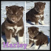 processed/880bad42-3891-4fb8-a1aa-f4a90f477ae5/listing/9eccfa79-2468-409c-a066-496bd3333303/2033f40c-dcab-431c-9ee4-589e19700e42