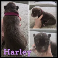 processed/880bad42-3891-4fb8-a1aa-f4a90f477ae5/listing/9eccfa79-2468-409c-a066-496bd3333303/8fef338f-6513-43df-ac86-c3f23d93c8ca