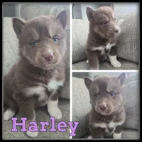 processed/880bad42-3891-4fb8-a1aa-f4a90f477ae5/listing/9eccfa79-2468-409c-a066-496bd3333303/9751a63d-88c2-4175-9442-8a6069b9c75d